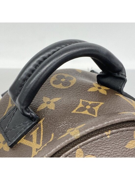 Louis Vuitton Backpack Monogram Palm Springs Mini Brown